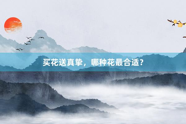 买花送真挚，哪种花最合适？